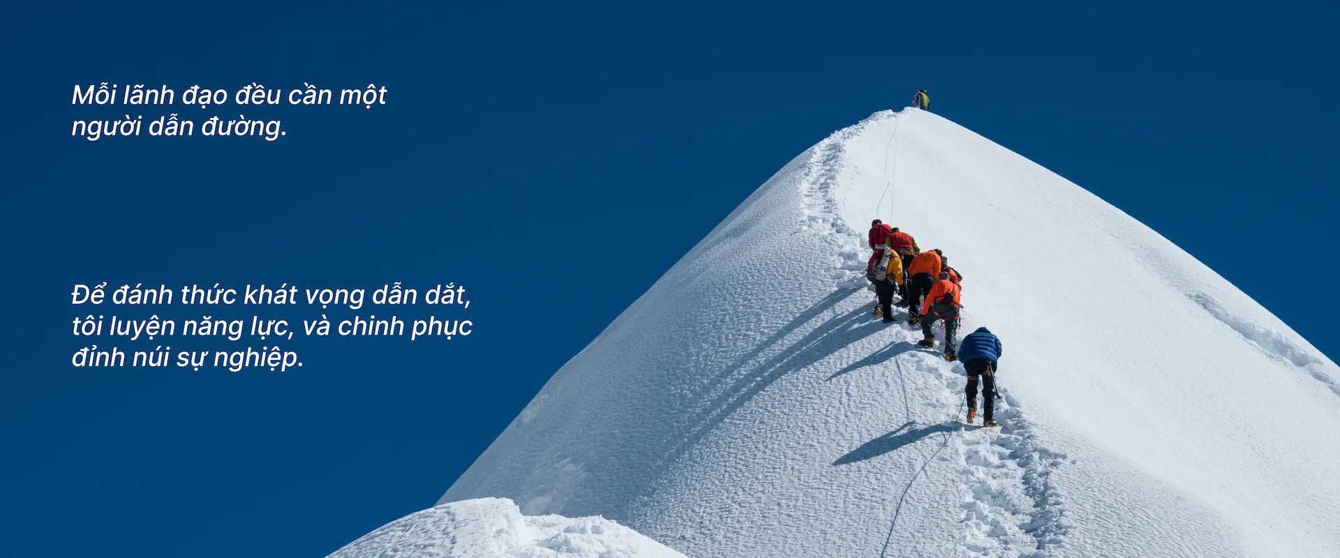 hình 1 (1)