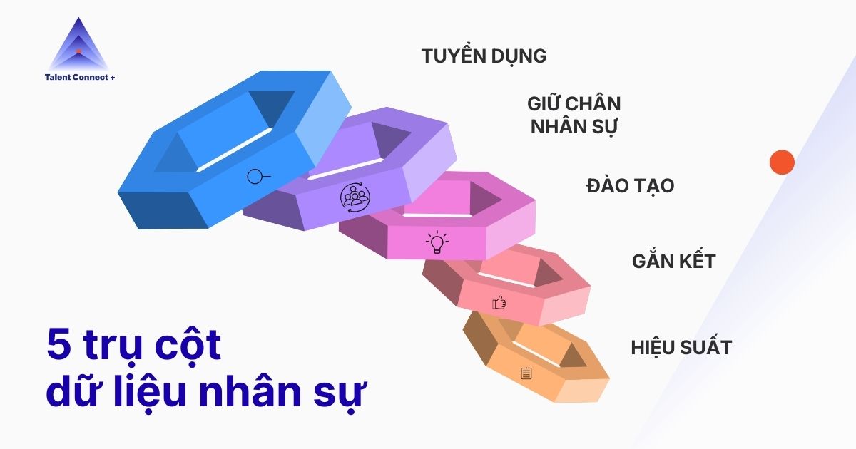 tcp-phan-tich-du-lieu-hr